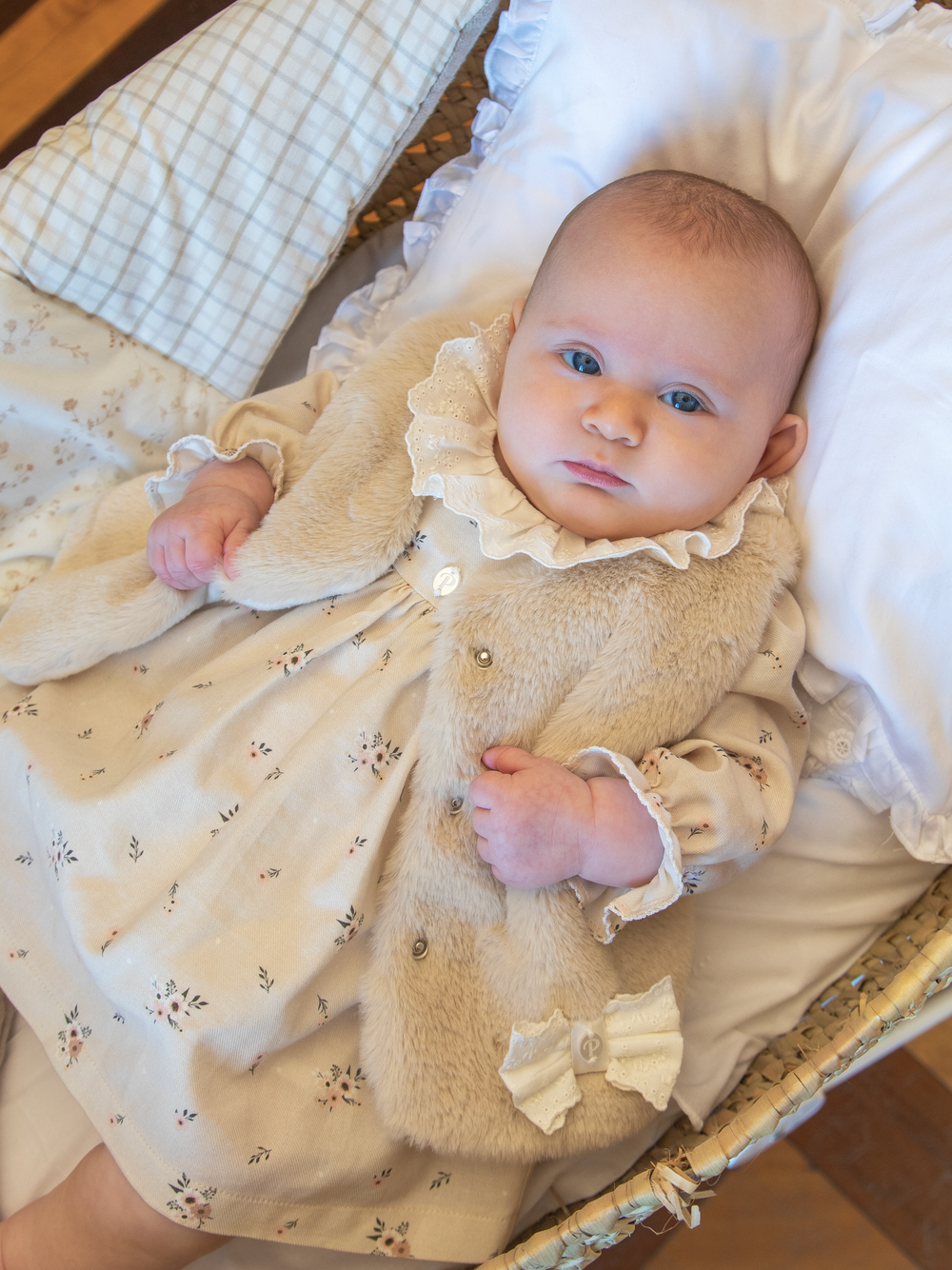 Beige Viyella Dress