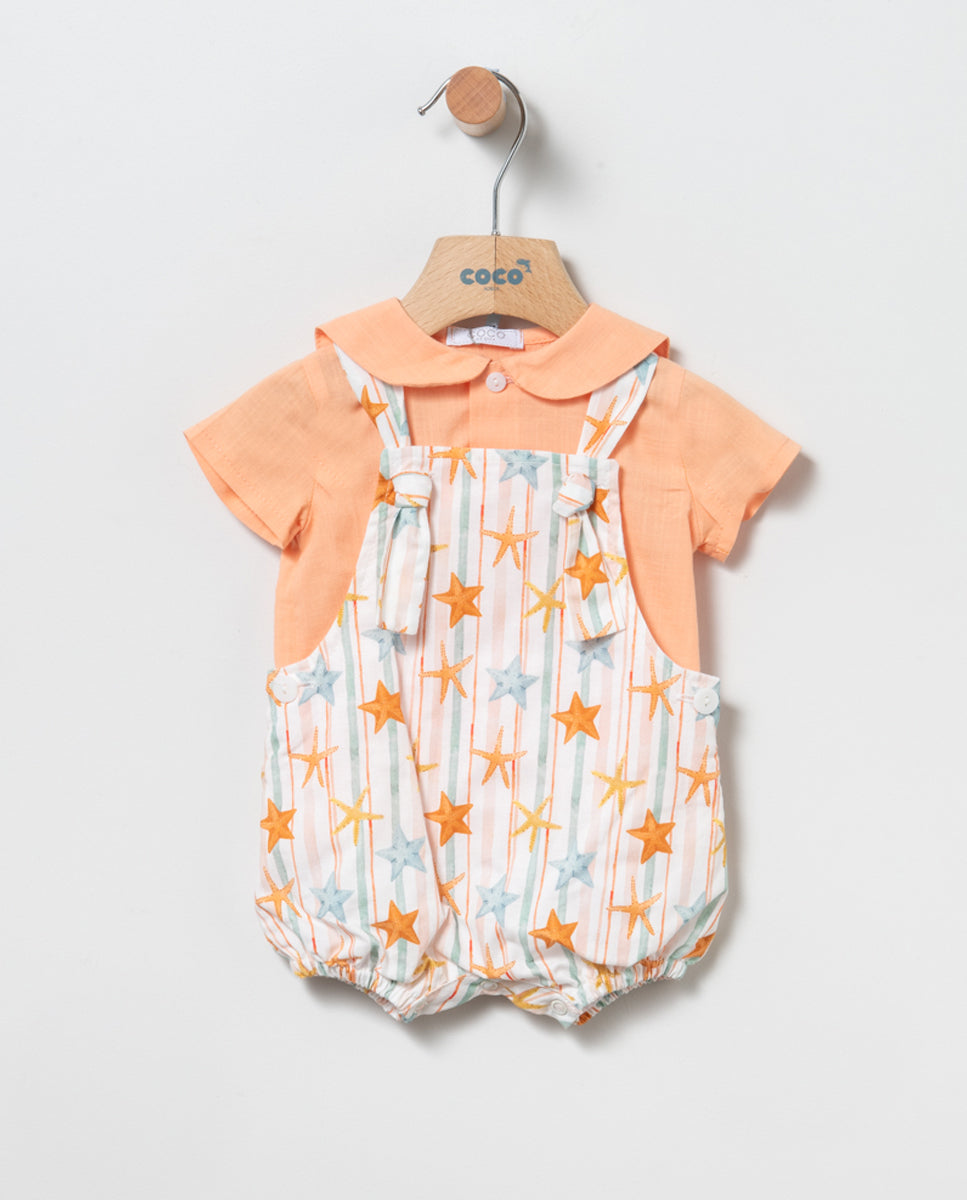 Dungaree Starfish