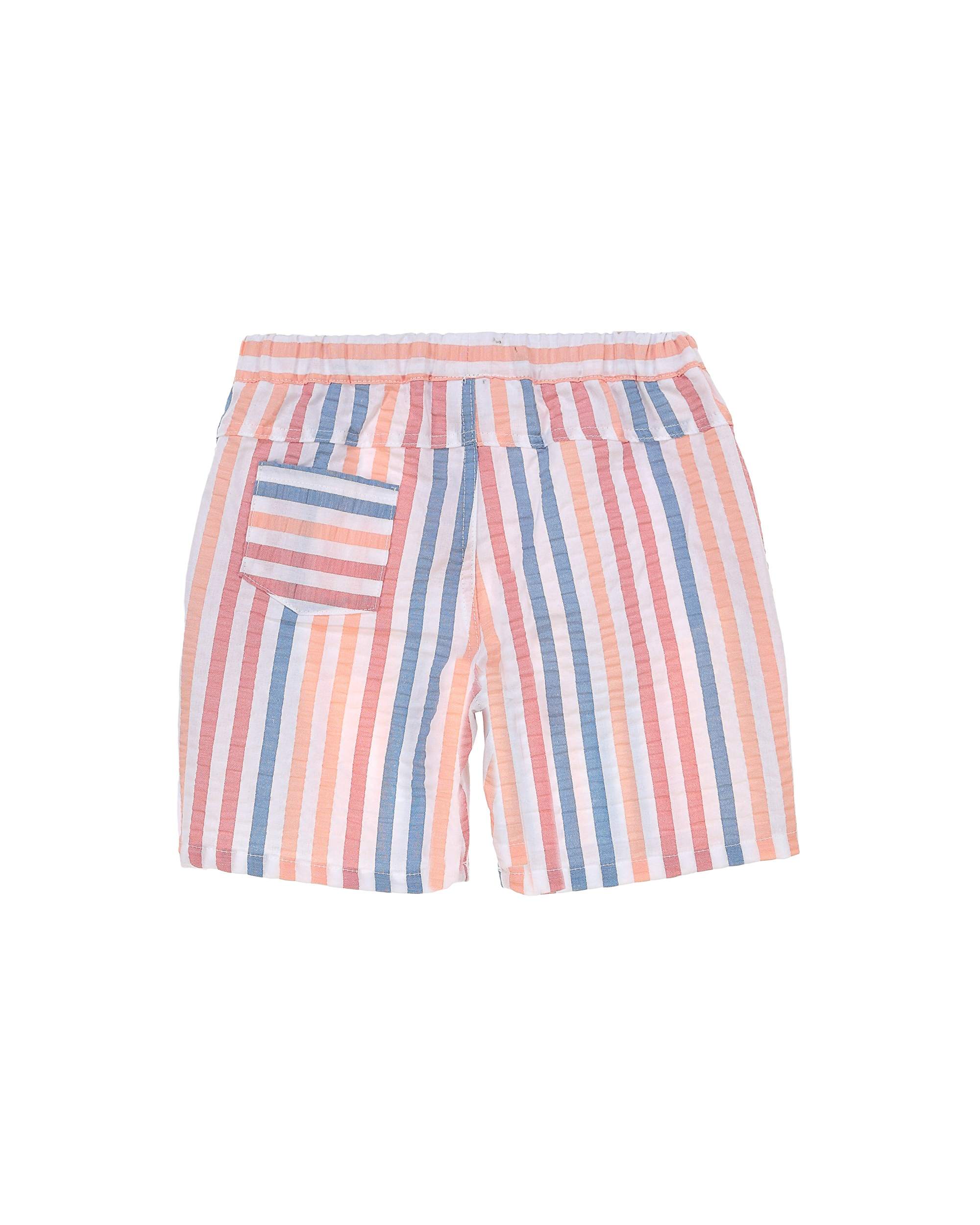 Boy Set Hummingbird