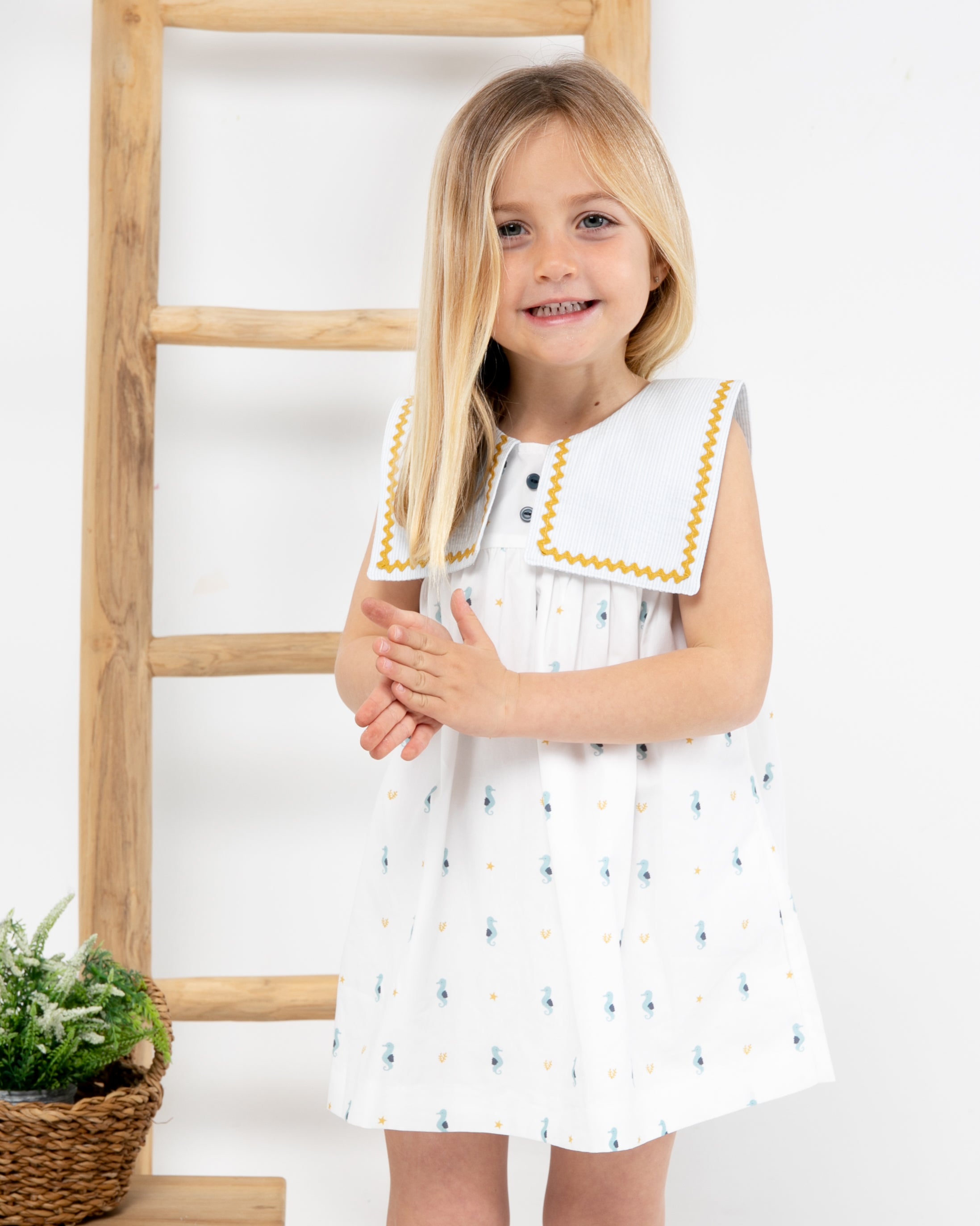 Dress Seahorse