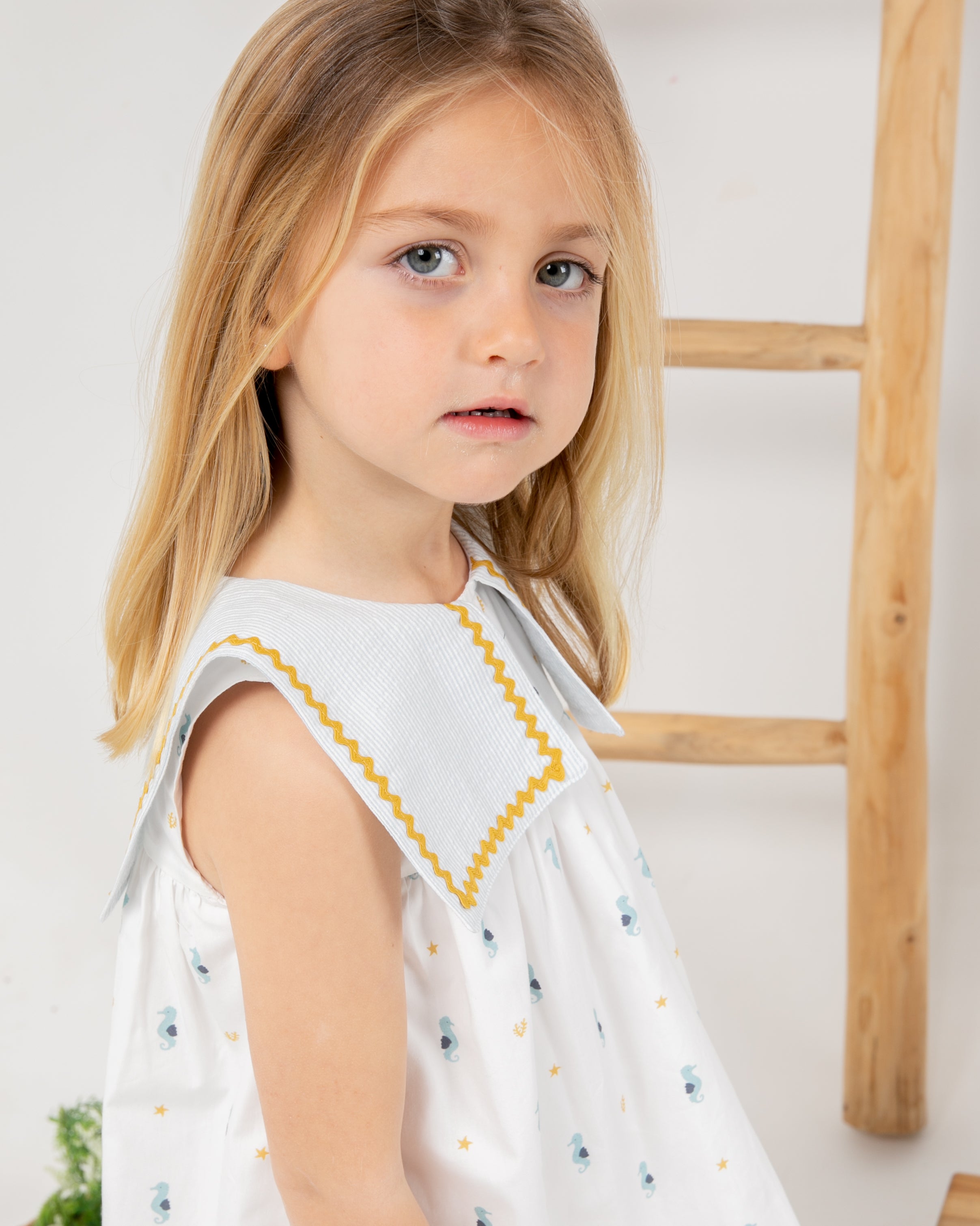 Dress Seahorse