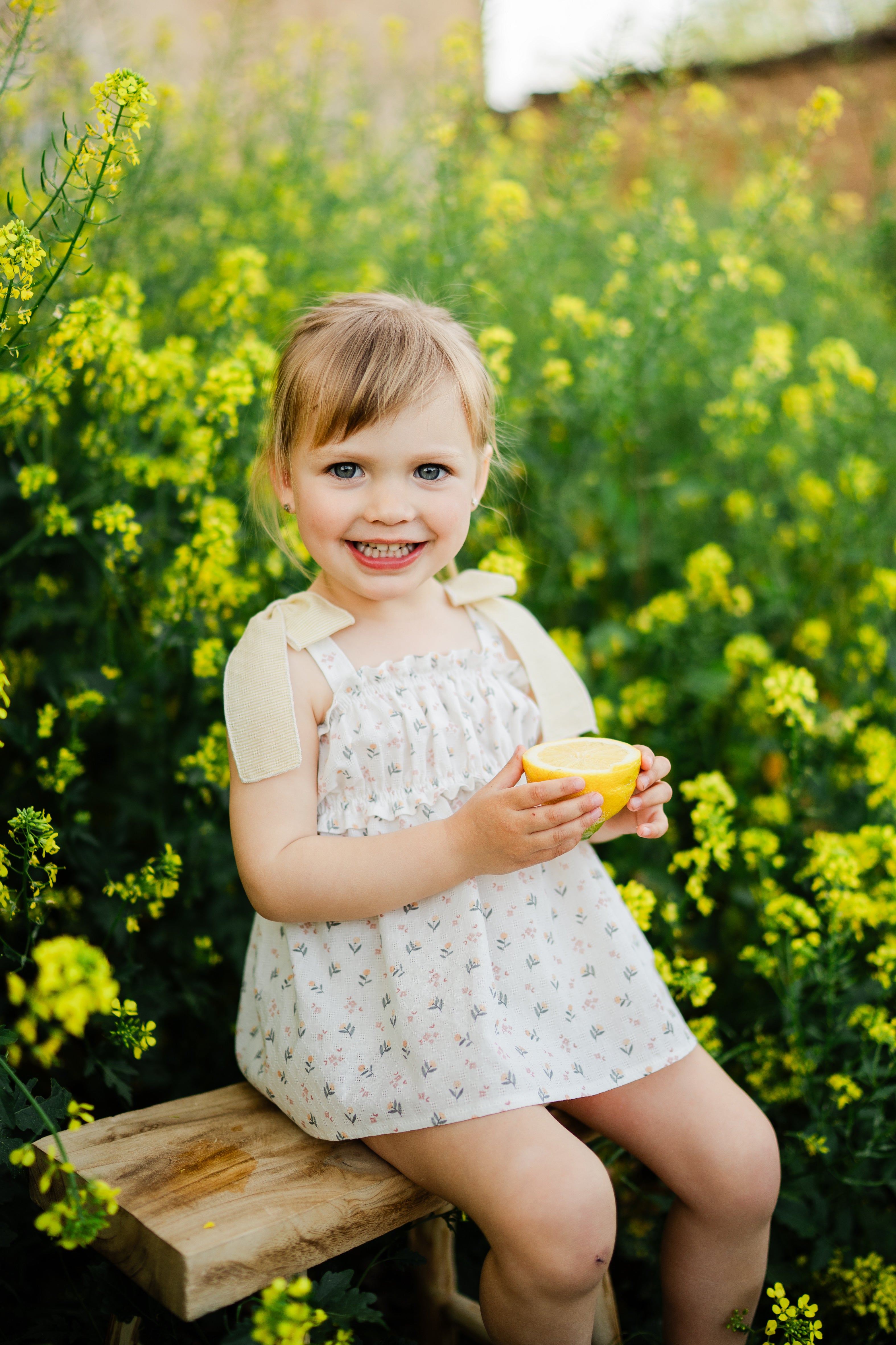 Bloomer Set 'Yellow Lemons'