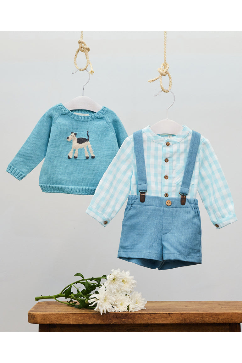 Boy Set Dog