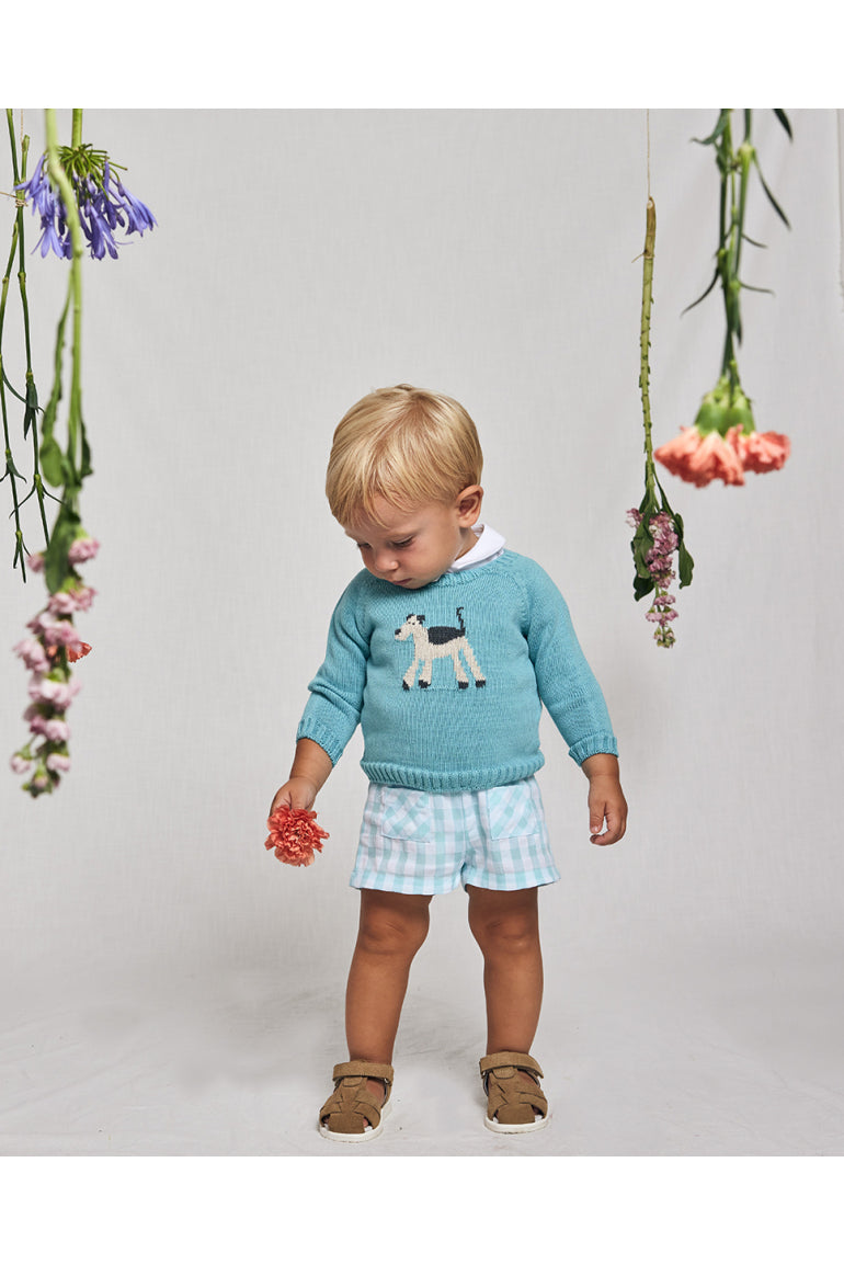 Dungaree Set Dog