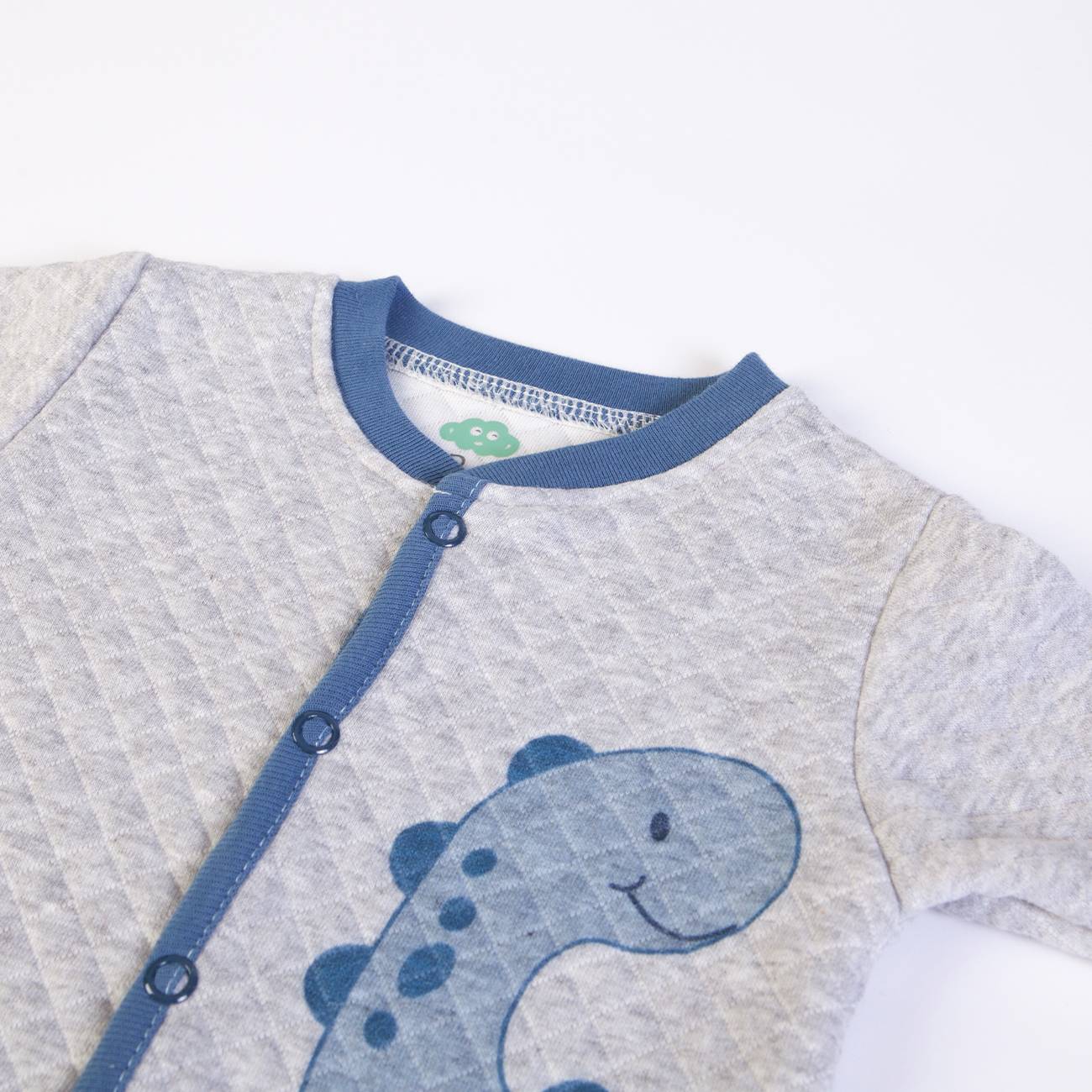 Babygrow Dinosaur