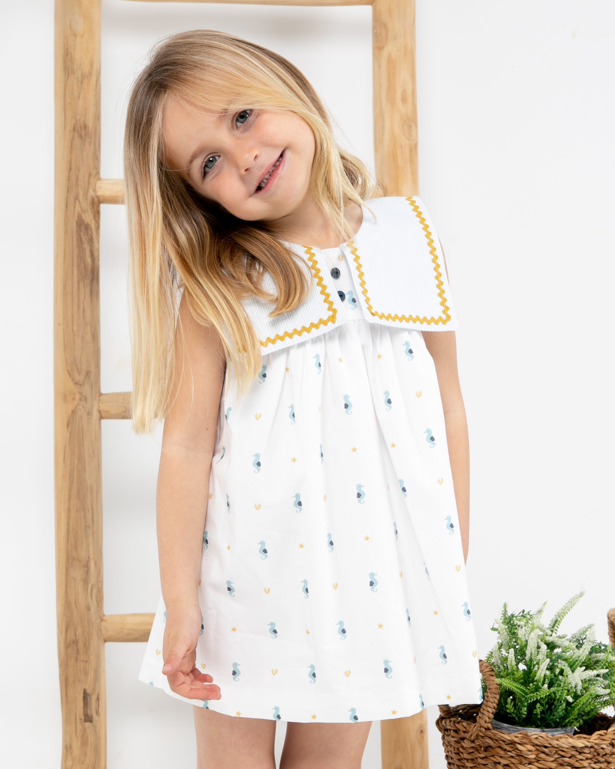 Dress Seahorse