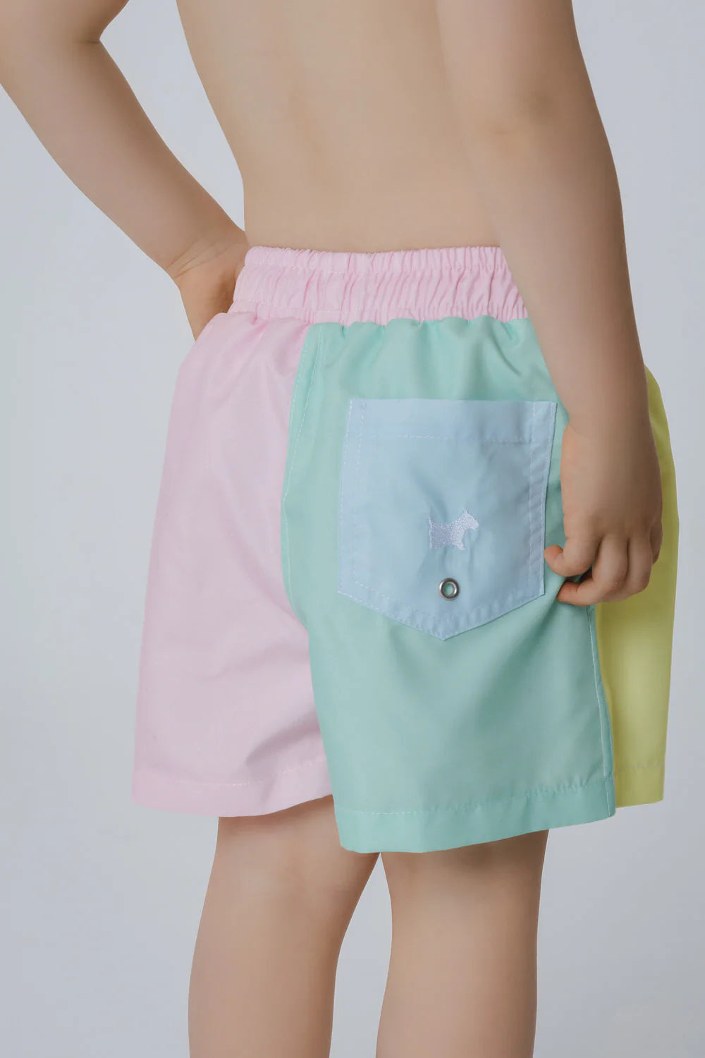 Swim Trunks Dreamland