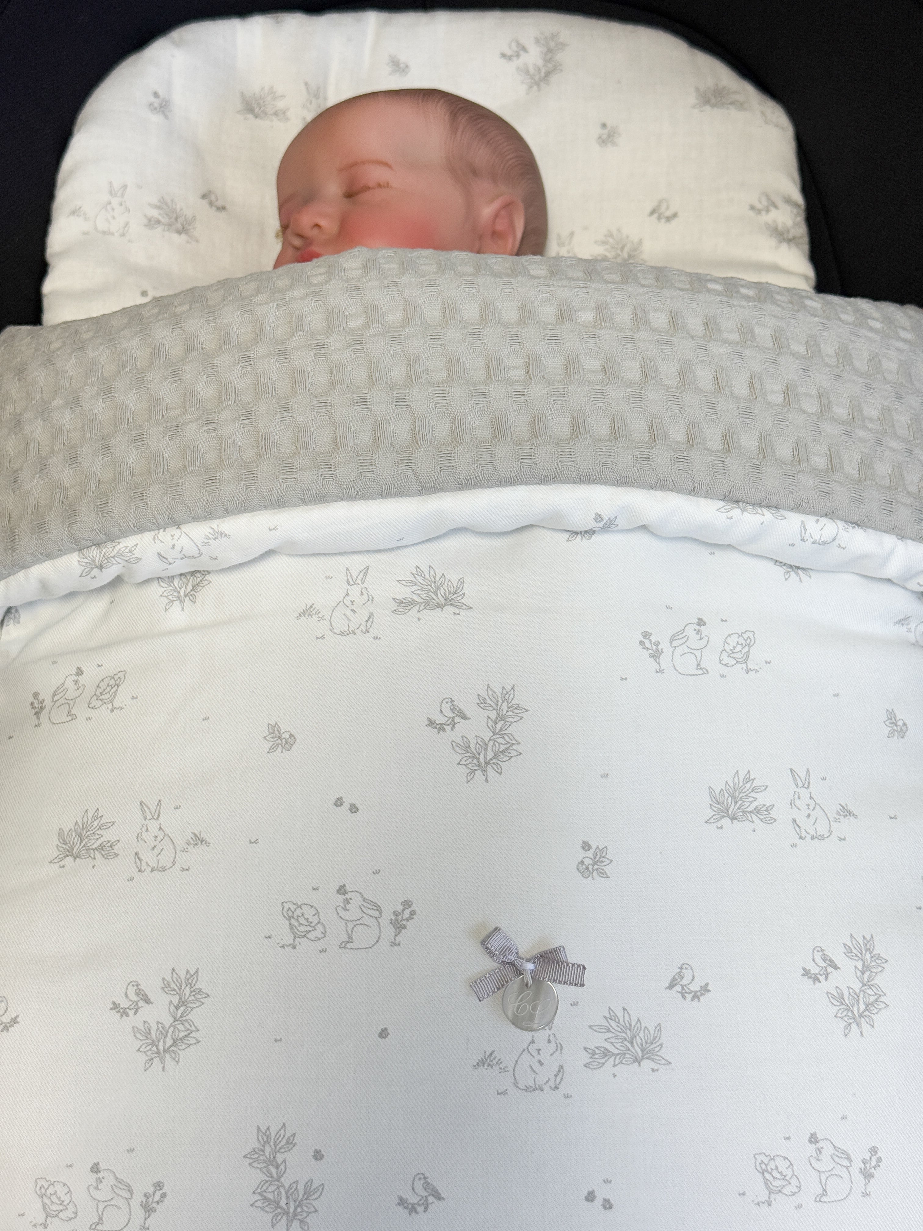 Carry Cot Telma Grey